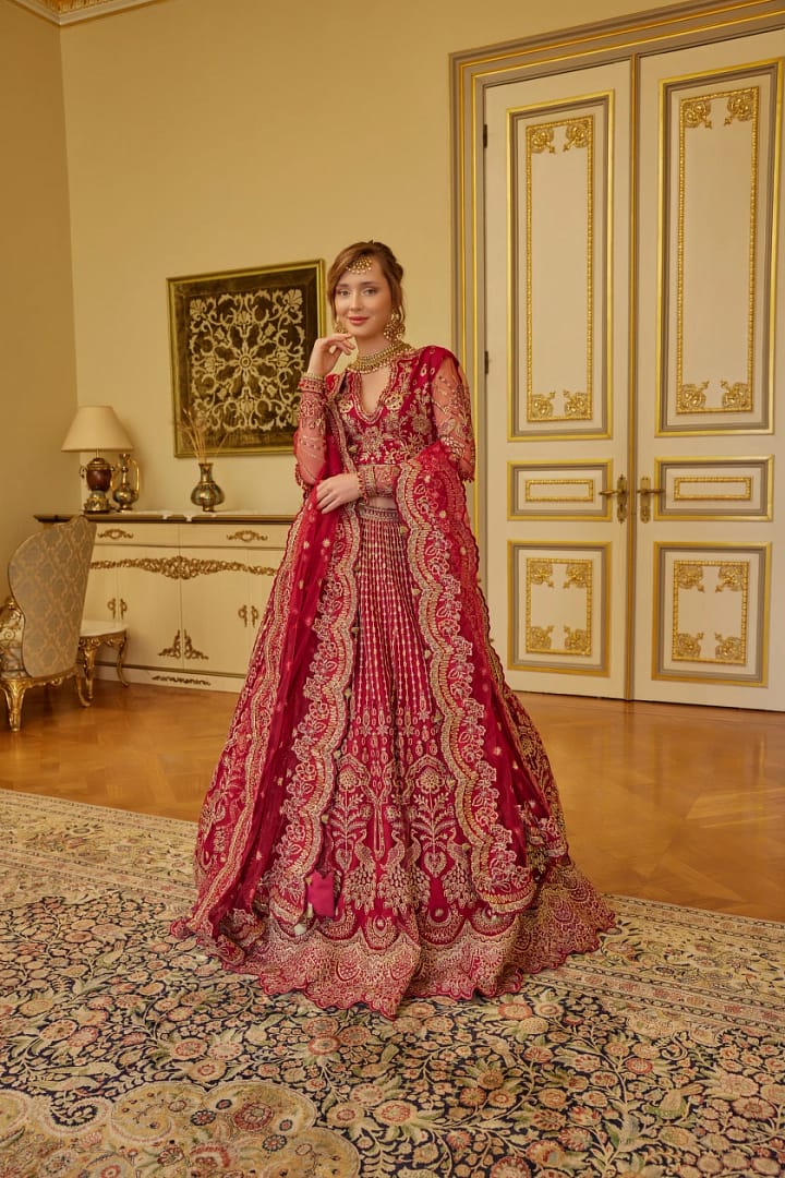 Embroidered Net Suit D 01 Tabeer Embroidered Net Suit D 01 Tabeer